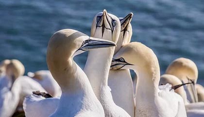 西双版纳2026年最新医保提取中介联系微信方法介绍(分享医保卡中介取现)